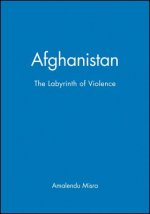 Afghanistan - The Labyrinth of Violence