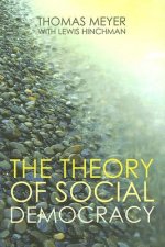 Theory of Social Democracy