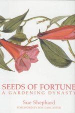 Seeds of Fortune