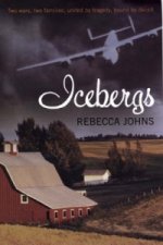Icebergs