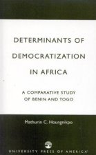 Determinants of Democratization in Africa