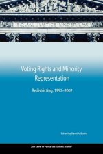 Voting Rights and Minority Representation