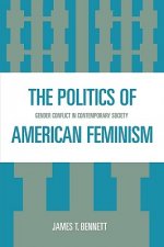 Politics of American Feminism