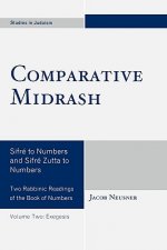 Comparative Midrash