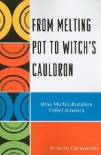 From Melting Pot to Witch's Cauldron