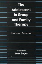 Adolescent in Group and Family Therapy