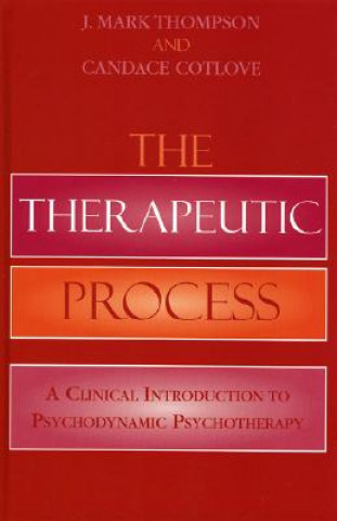 Therapeutic Process