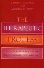 Therapeutic Process