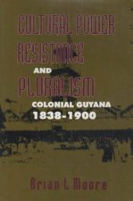 Cultural Power, Resistance and Pluralism