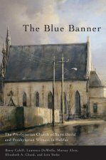 Blue Banner
