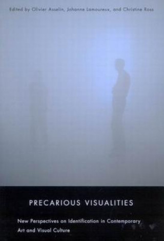 Precarious Visualities