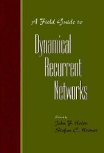Field to Dynamical Recurrent