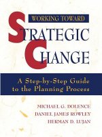 Working Toward Strategic Change: A Step-by-Step Gu Guide to the Planning Process