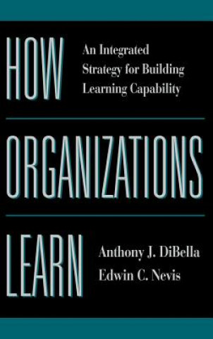 How Organizations Learn - An Integrated Strategy for Building Learning Capability