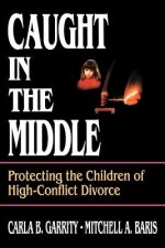 Caught in the Middle: Protecting the Children of H High-Conflict Divorce
