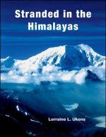 Stranded in the Himalayas Simulation: Participant' Participant's Activity