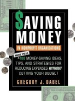 Saving Money in Nonprofit Organizations: More Than 100 Money-Saving Ideas, Tips & Strategies for Reducing Expenses Without Cutting Your Budget