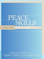 Peace Skills