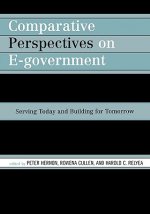 Comparative Perspectives on E-Government