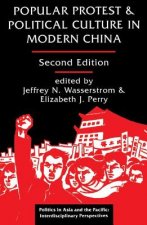 Popular Protest And Political Culture In Modern China