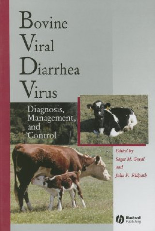 Bovine Viral Diarrhea Virus