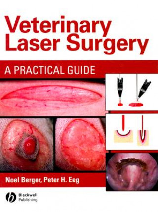 Veterinary Laser Surgery: A Practical Guide