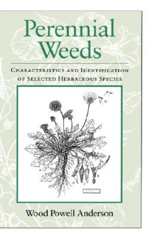 Perennial Weeds: Characteristics and Identification of Selected Herbaceous Species