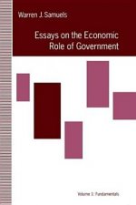 Essays in the Economic Role of Government: Fundamentals
