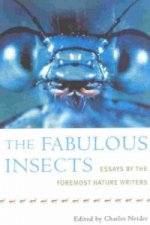 Fabulous Insects