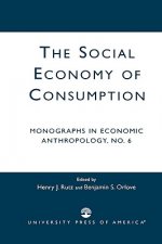 Social Economy Consumption No 6