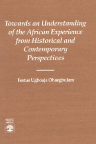 Towards an Understanding of the African Experience