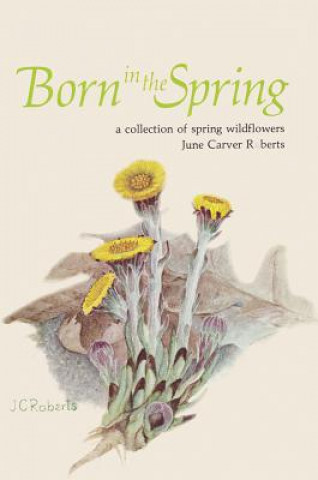 Born In Spring
