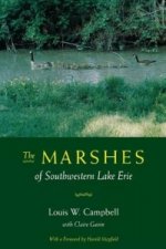 Marshes of Southwestern Lake Erie
