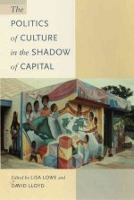 Politics of Culture in the Shadow of Capital