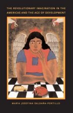 Revolutionary Imagination in the Americas and the Age of Development