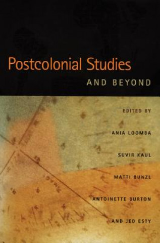 Postcolonial Studies and Beyond