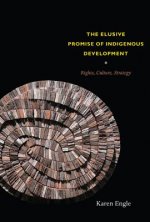 Elusive Promise of Indigenous Development