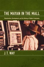 Mayan in the Mall