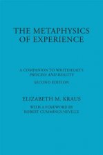Metaphysics of Experience