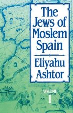 Jews of Moslem Spain, Volume 1