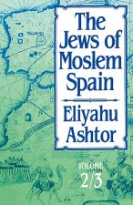 Jews of Moslem Spain, Volumes 2 & 3