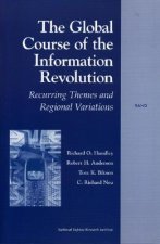 Global Course of the Information Revolution