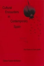 Cultural Encounters in Contemporary Spain