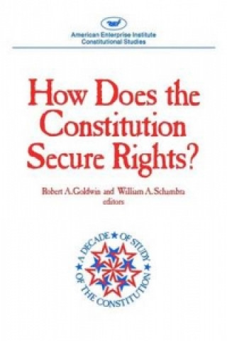 How Does The Constitution Secure Rights? (AEI Studies)