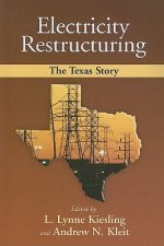 Electricity Restructuring