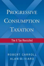 Progressive Consumption Taxation