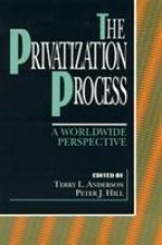 Privatization Process