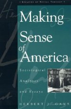Making Sense of America