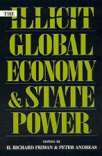 Illicit Global Economy and State Power