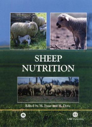 Sheep Nutrition